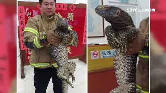 恐龍來了？大街驚見1.5米史前巨物