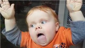 小孩,窗戶,幼童,魔力,吸引力　圖／翻攝自臉書