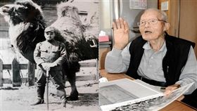 圖／翻攝自神戶新聞