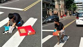 貓,屍體,嘉義,國二,少年,車禍,撞死,紙箱
（圖／翻攝自爆料公社）