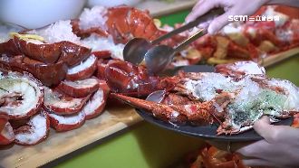 龍蝦吃到飽大戰　成本拆解吃5隻回本