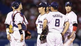 養樂多小川泰弘（圖／翻攝自《運動報知》）