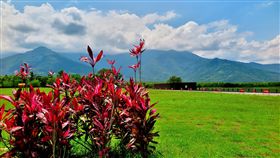 ▲今日天氣高溫晴朗。（圖／民眾施錫鐘授權提供，未經同意請勿翻攝）