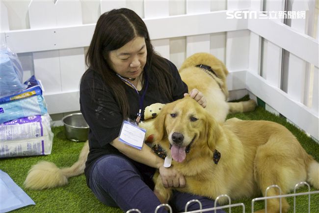 寵物,展覽,狗,貓,蜥蜴,爬蟲類,認養,領養,動物,毛小孩（攝影／記者林顥宗）