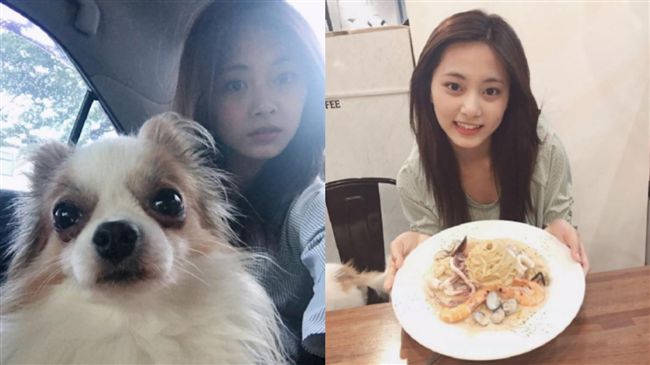 悄回台無人知！子瑜素顏帶愛犬趴趴走