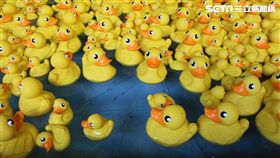 香港,香港海洋公園,黃色小鴨,夏水禮,沙雕/記者楊惟甯攝影