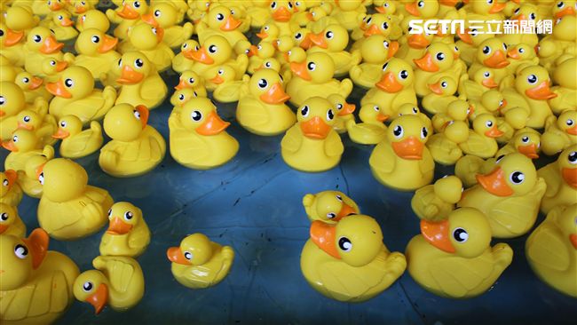 海洋公園夏水禮　6千隻黃色小鴨萌翻