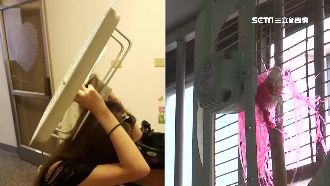 抽風扇險變凶器　長髮正妹頭髮遭捲入