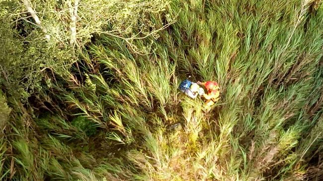 男攀登鹿屈山迷路　直升機吊掛救出