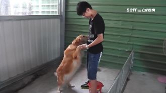 暖心少年安置貓屍　原因曝光揪感心