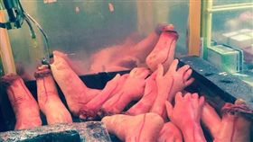 ▲夾娃娃機驚見斷手斷腳。（圖／翻攝自臉書爆料公社） 
https://www.facebook.com/groups/451357468329757/permalink/1020137821451716/