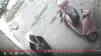 狗媽媽面前　男童丟小狗到金爐活燒死