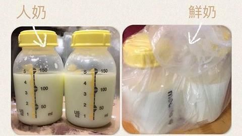 男同事偷喝「母乳」　竟然以假換真！
