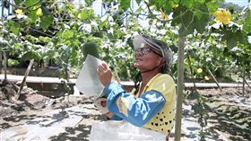 感動99 華碩文教基金會提供　紀實　紀錄片