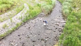 ▲熱心男子在溪流撿垃圾。（圖／翻攝自《爆料公社》臉書社團）