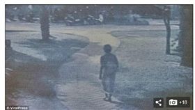 比利時,背包客,泰國,龜島,Elise Dallemange 圖／翻攝自每日郵報