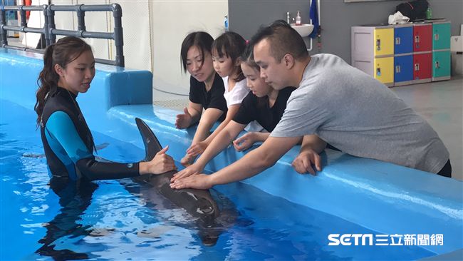 海洋公園約會海豚　轉圈、翻肚萌翻！