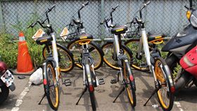 淡水拖吊場內堆放43輛遭取締的oBike單車。（圖／記者游承霖攝）