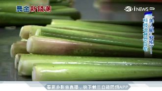 美人腿變粗了！筊白筍年產值20億