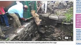 印度母獅跌落25公尺深井。（圖／翻攝自每日郵報）