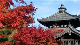 圖／盈達旅遊提供