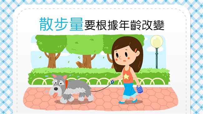 狗狗變老別勉強！散步量要依年齡改變
