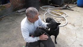 寵物滔客(圖片版權屬於滔客線上雜誌)