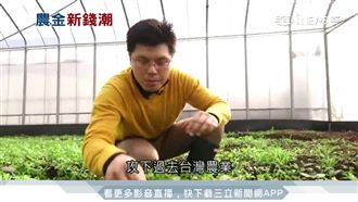 牛津高材生用新思維　種出高檔芝麻葉