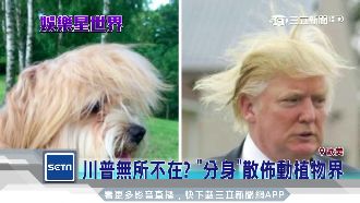 大咖無所不在！毛孩撞臉讓人秒噴笑