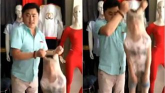 廣告出奇招！他把兒子塞入絲襪上下甩