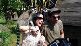 六福村　寶萊塢