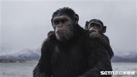 猩球崛起,終極決戰,安迪席克斯,Andy Serkism,凱撒／福斯提供