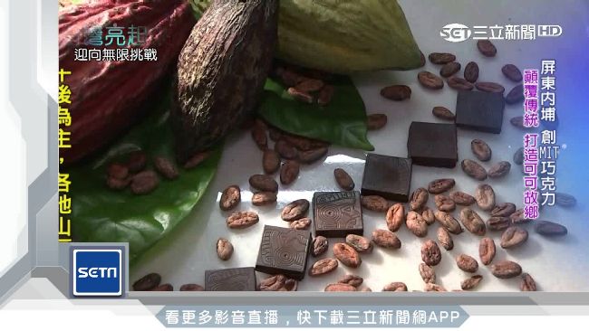 為復耕可可　她勇赴菲律賓學栽培