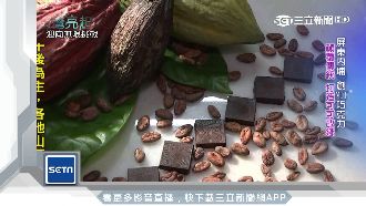 為復耕可可　她勇赴菲律賓學栽培