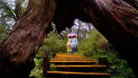 遠見雜誌／生態旅遊探索趣！42條路線 重新遊寶島（名家專用）