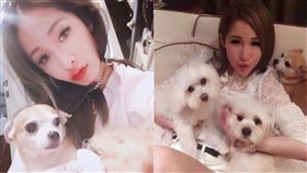 蕭亞軒／翻攝自蕭亞軒臉書