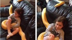 國際,新奇,球蟒,蟒蛇,女孩,看電視,寵物