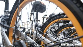 oBike亂象,無樁自行車,共享,機車,腳踏車,停車格,違停　圖／記者林敬旻攝