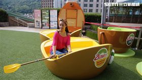 親子必遊！限時10天奇異果「空中輕旅行」