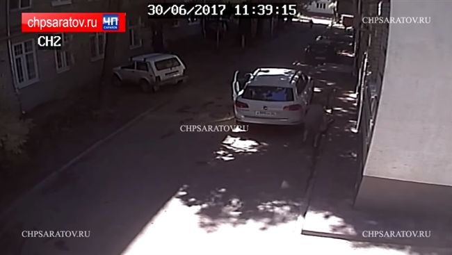 他假摔裝被撞　慘被戰鬥民族真的狂輾