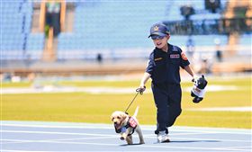 警犬隊六小萌  翻攝NPA署長室臉書