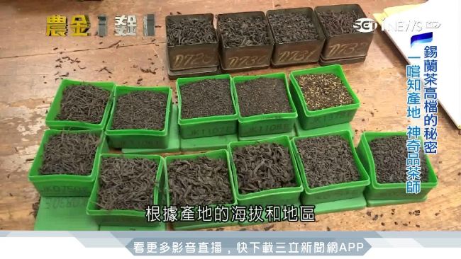 斯里蘭卡「農職人」　高難度特技採椰