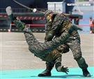 陸戰隊武術操演。（記者邱榮吉/左營拍攝）