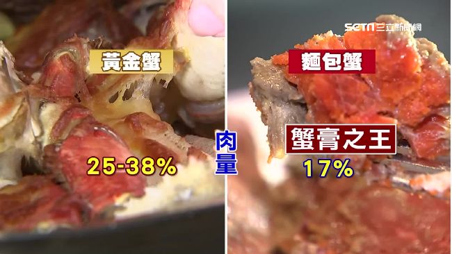 黃金蟹肌肉猛男高肉量　比拚蟹膏之王