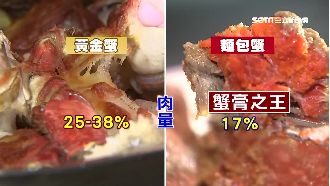 黃金蟹肌肉猛男高肉量　比拚蟹膏之王