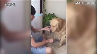 狗狗猜零食遊戲　竟慘遭「背叛」！