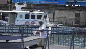 d拍照餵腐食1000