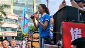 國民黨立委許淑華（圖／民眾提供勿用）