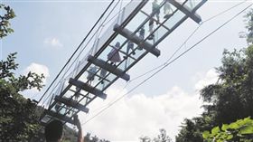 裙底全被看光…玻璃橋淪「偷拍天堂」　橋下民眾拍到忘我
圖／翻攝自楚天金報