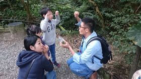 走入天籟體驗木工、探索昆蟲天地　三天兩夜精彩不留白
業配